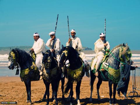 Axecibles au Rallye des Gazelles